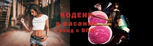 сатива Грязи