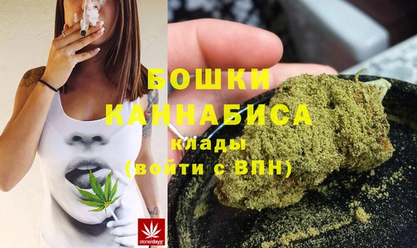 эйфоретик Няндома